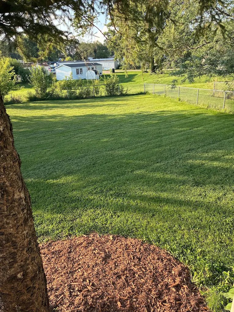 Freshly mowed green lawn with neat landscaping