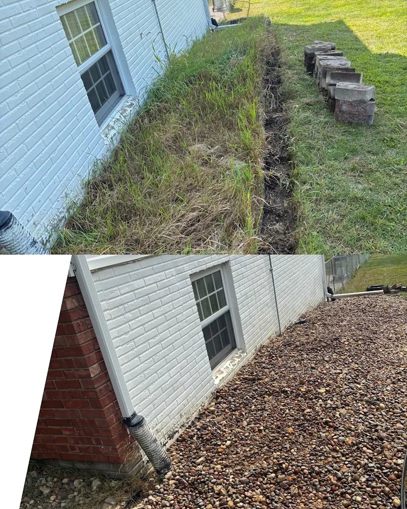 Major yard cleanup